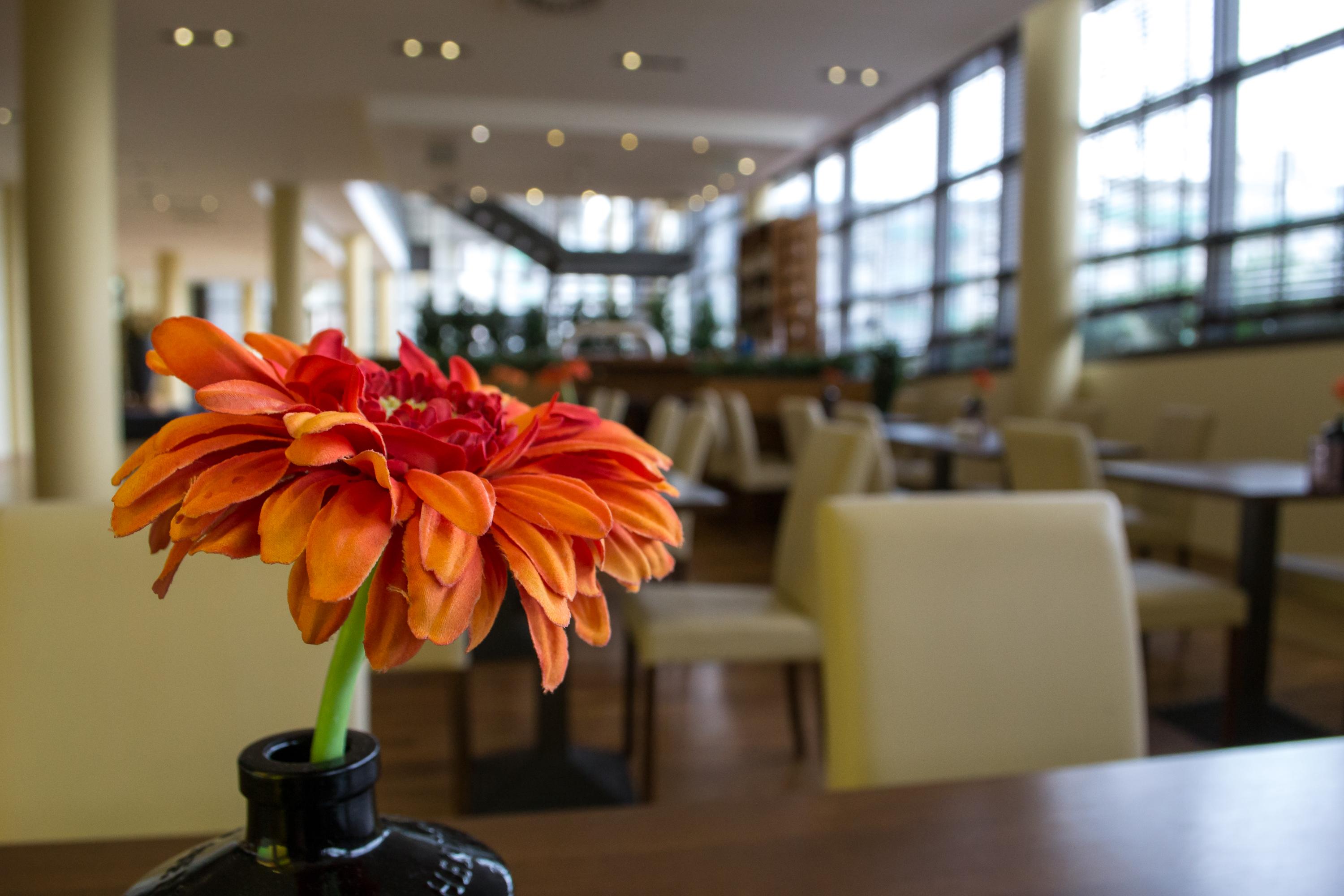 Relexa Hotel Ratingen City Esterno foto